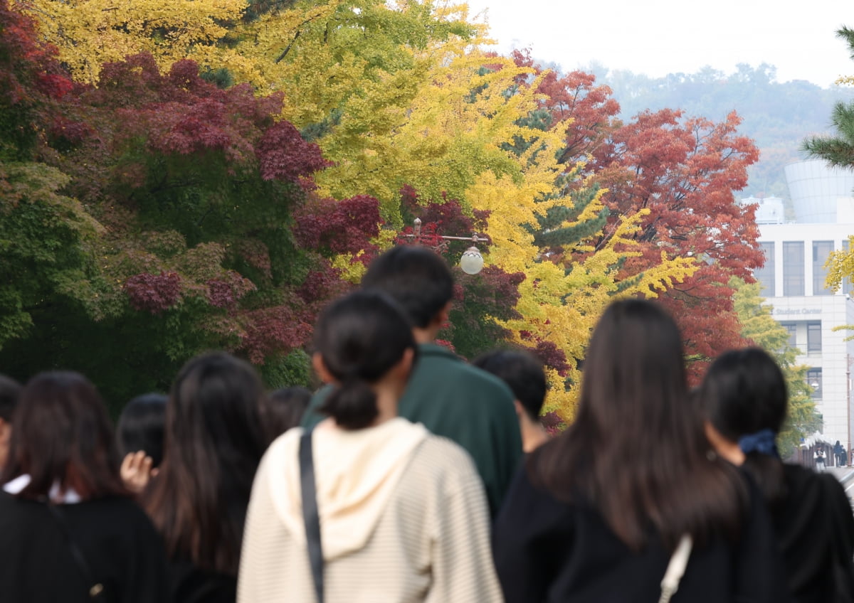 종로구 성균관대 캠퍼스(사진은 기사와 무관) / 사진=연합뉴스