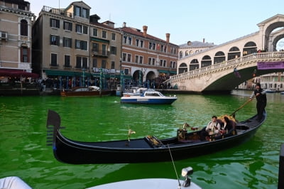"강물이 온통 녹색으로"…베네치아에 무슨 일이?