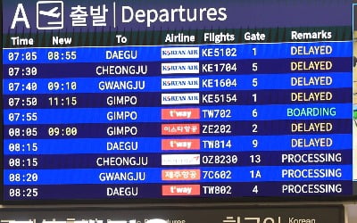 "연말휴가 어쩌나" 기상악화에 제주공항 14편 결항, 97편 지연