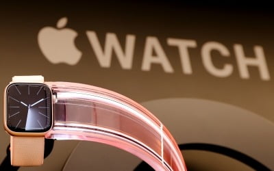 애플, 대목 앞두고 '시련'…특허 패소로 워치 판매 중단