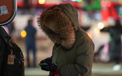 '한파·대설'에 중대본 2단계로 격상…위기경보 '경계' 상향