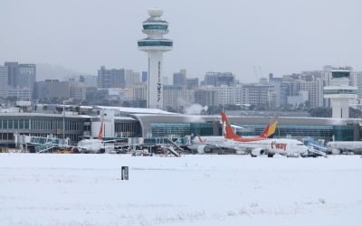 "치워도 치워도 끝이 없네"…카지노 주사위 게임 마비된 제주공항 활주로