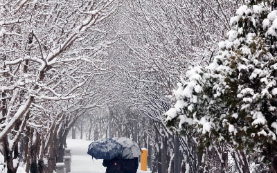 전국 대부분 지역 비·눈…새해 첫날 해돋이 볼 수 있을까 [오늘 날씨]