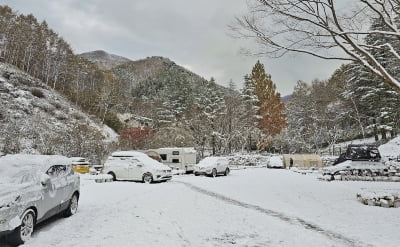 고려·조선 건국 설화…임실 '왕의 숲 캠핑장' 인기