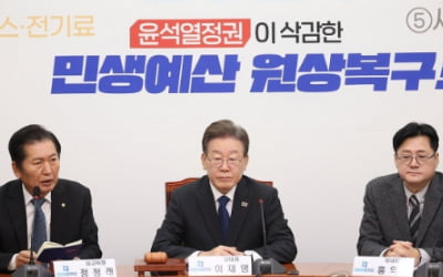'공천·전대 룰'에 친명-비명 재충돌…사법리스크로 갈등 심화