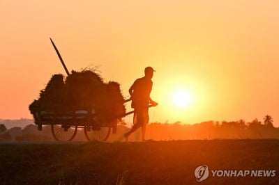 "印서 지난해 매일 468명 극단 선택…일용직노동자·농민이 26%"