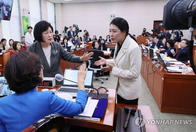 아이돌봄, 폭력 피해자 보호…여야 정쟁에 여가위 민생현안 뒷전