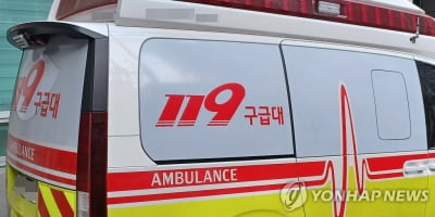 말다툼하던 아버지 흉기로 찌른 30대 아들 체포