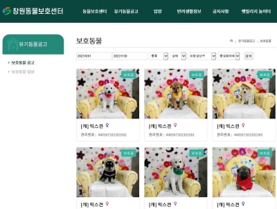반려동물 정보 손쉽게 확인…창원 동물보호센터 홈페이지 운영