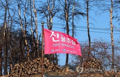 태백 등 강원 10곳 강풍주의보 해제