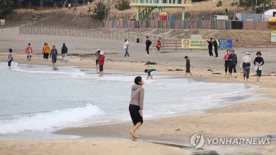 제주 낮기온 20도 훌쩍…서귀포·고산 '12월 역대 최고 기온'