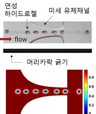 동아대 연구팀, 미세연성 젤 초탄성 유변학 측정 첫 성공