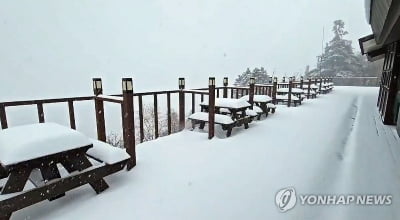 강원 향로봉 73.4cm 눈 '펑펑'…영동지역에 234mm 폭우