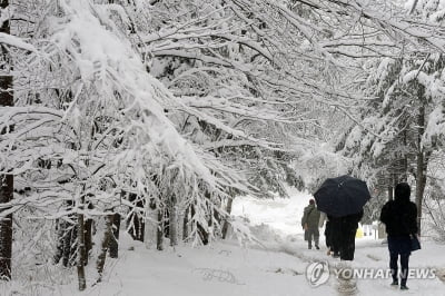 강원 곳곳 30∼100㎜ 비…산지에는 5∼20㎝ 눈