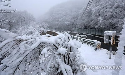 강원 북부산지에 대설경보·중부산지 대설주의보