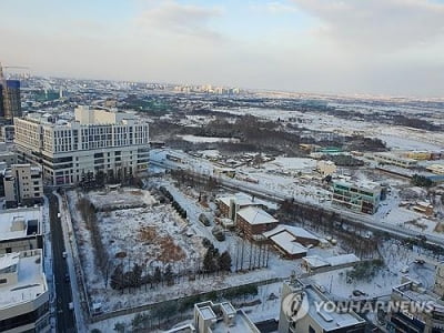 전북 한파·대설로 탐방로·여객선 통제…선유도 23.8㎝ 눈(종합)