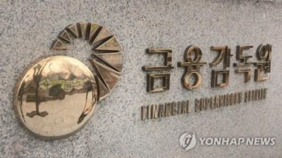 금감원 "'빅4'와 감사계약 시 구체적인 시간·보수 확인해야"