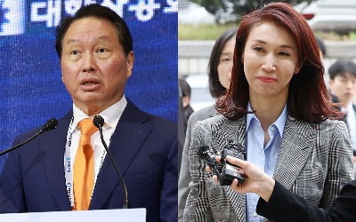 최태원·노소영 이혼소송 판사 돌연사…재판 연기 불가피