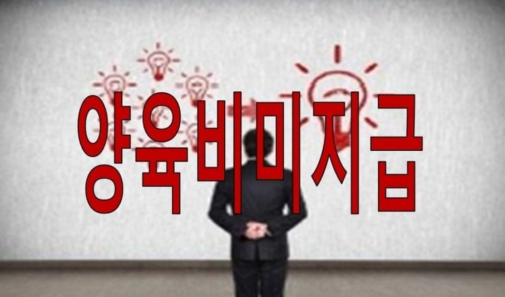 [속보] '양육비 미지급자 신상공개' 배드파더스 운영자, 유죄 확정