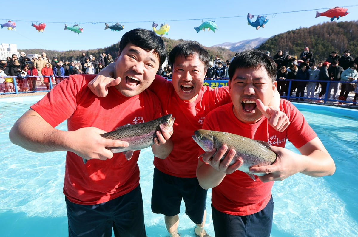 새해 첫 주말, 평창송어축제