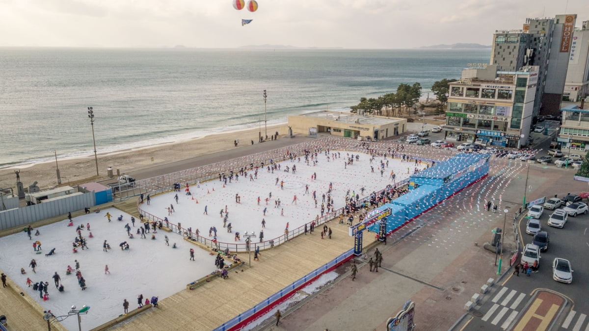 충남 보령은 서해안을 대표하는 대천해수욕장을 비롯해 겨울철 별미인 '물잠뱅이탕' '간자미 무침' '굴구이·찜'이 유명하다. 사진은 하늘에서 본 대천해수욕장 스케이트장. 보령시 제공