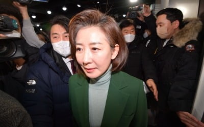 '헝가리 저출산 모델' 또 꺼낸 나경원…"파격 대책 기대하시라"