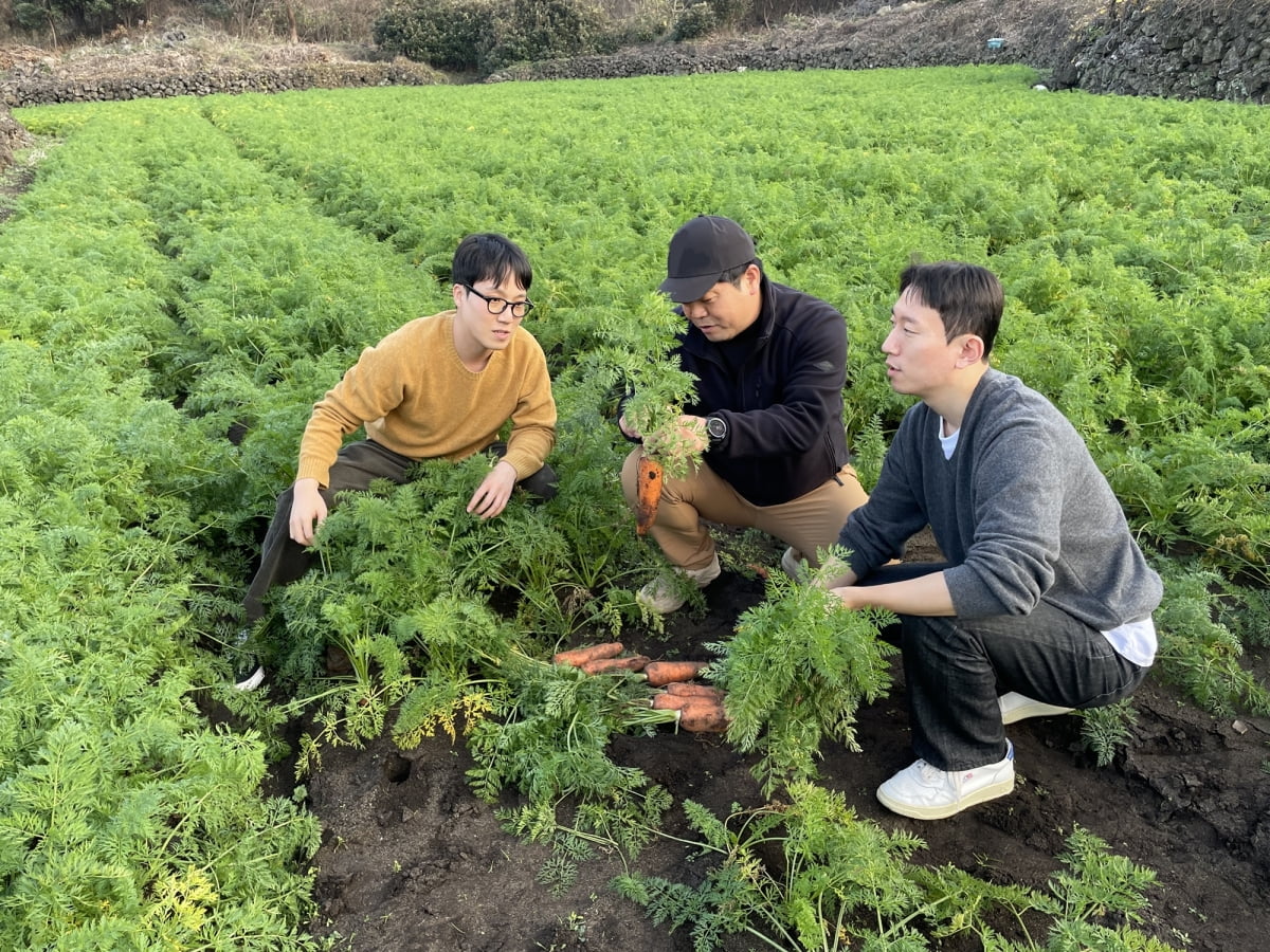 현대그린푸드 바이어와 구좌농협유통센터 직원이 제주도 구좌읍 당근농가에서 당근을 살펴보고 있다. 현대백화점그룹 제공