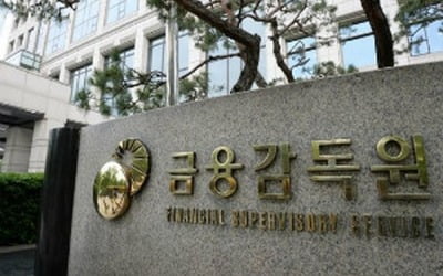 '무늬만 2차전지' 투자주의보…금감원, 가짜 신사업 대거 발각