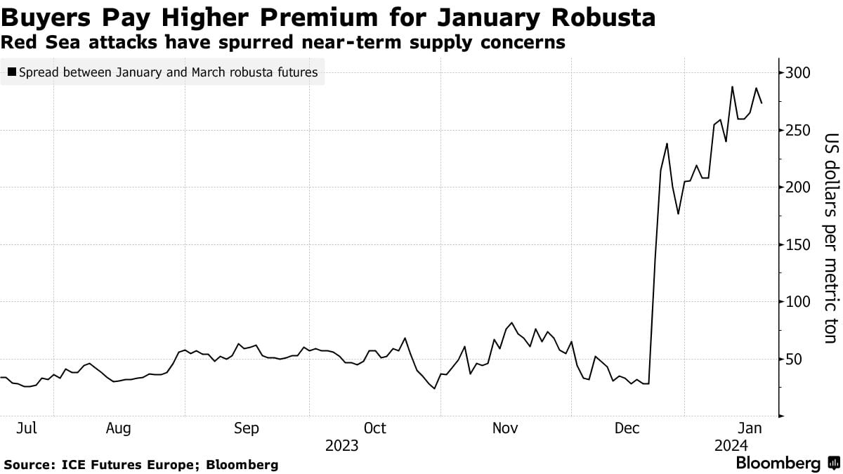 프리미엄 높아진 1월물 로부스타(사진=블룸버그, ICE)