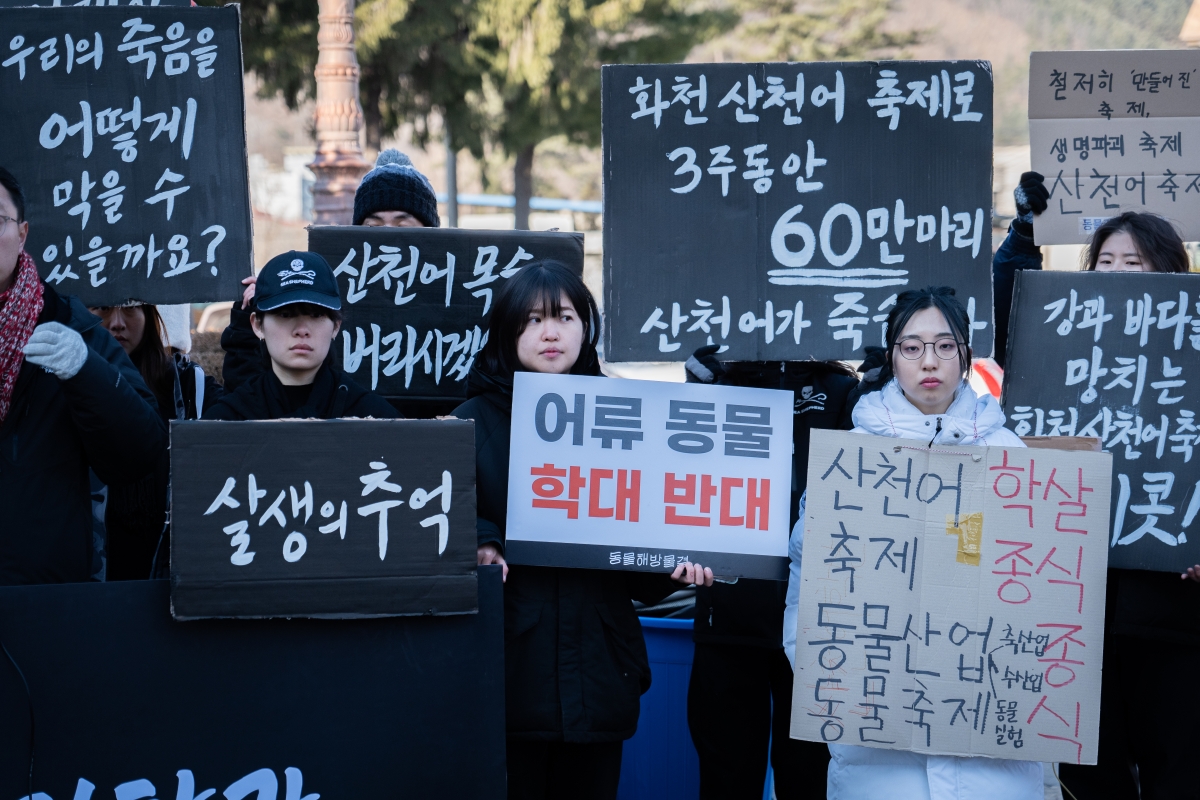 화천산천어축제는 '동물학대' 행위에 해당한다며 즉각 중단을 촉구하는 시민단체들. /사진=동물해방물결 제공