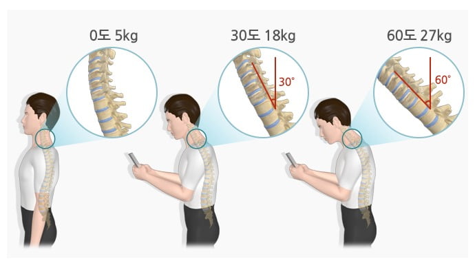 고개를 숙이는 각도에 따라 목 디카지노 룰렛 확률에 걸리는 압박 정도. /사진=질병관리청 제공