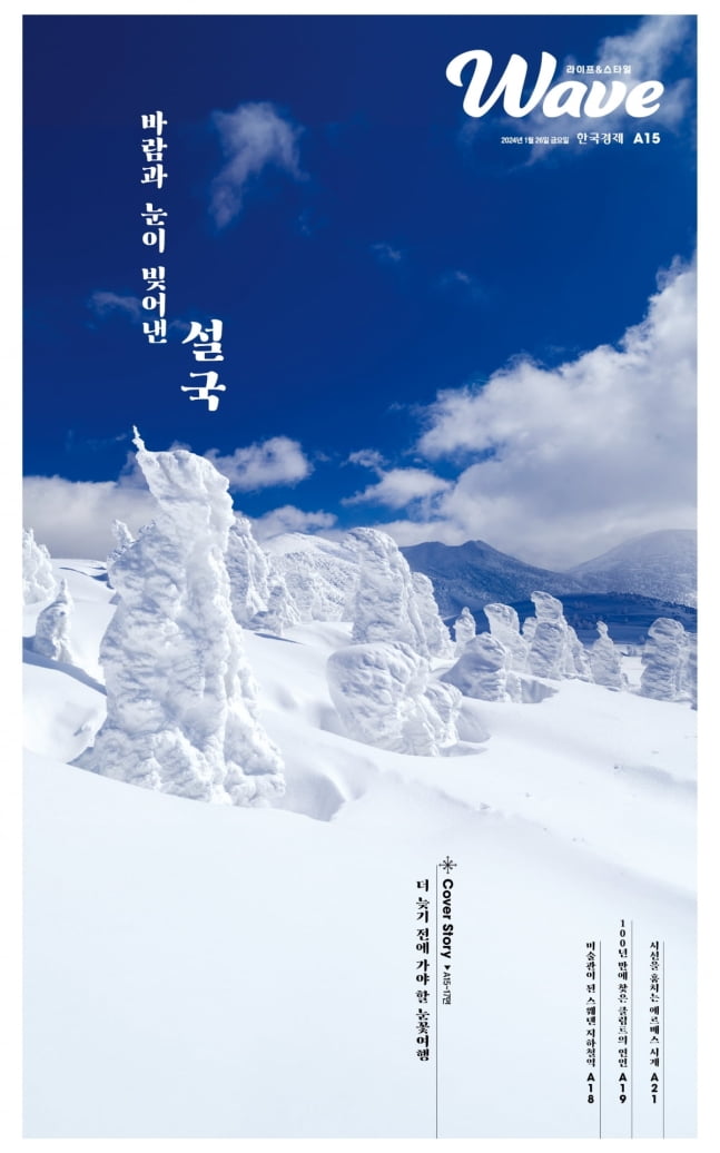 "한국과 천지 차이"…기묘한 광경으로 눈길 끄는 '눈꽃 성지' [정영효의 인사이드 재팬]