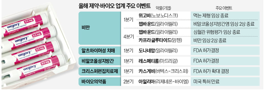 비만약 판 커지고…치매 신약 전쟁 불붙는다 