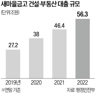 새마을금고 건설·부동산 대출, 전체의 50% 이하로 유지해야