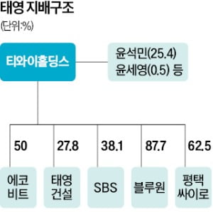 태영건설 워크아웃 무산 땐…'몸값 3조' 에코비트, KKR에 뺏긴다