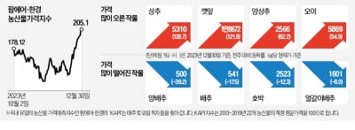 삼겹살보다 비싼 깻잎…폭설·한파에 120%↑