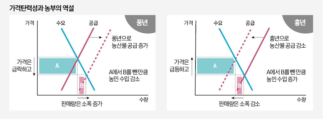 슬롯사이트 네임드카지노 왜 널뛰기를 할까