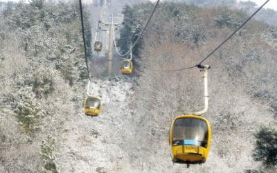 [포토] 눈 쌓인 대구 팔공산