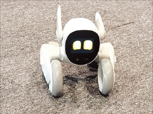 세계 최초로 챗GPT를 적용한 베이징키아이테크놀로지의 반려로봇 ‘루나’.  