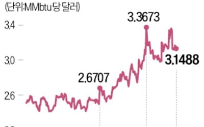 "카타르, LNG 홍해운송 일시 중단"