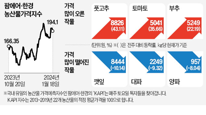 '토마토 실종사태' 재연되나…1주 새 35% 급등