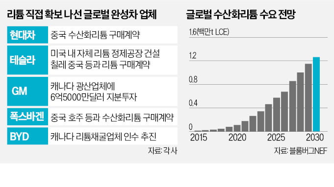 '리튬 확보' 현대차…전기차 가격전쟁 채비