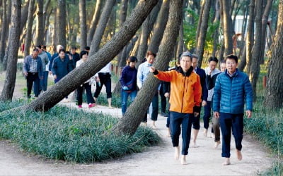 '철강도시가 녹색 보행도시로'…해양 인프라 활용, 관광객 1000만시대 연다