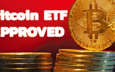 'ETF 흥행' 불발…새해 들어 1000만원 넘게 빠진 비트코인