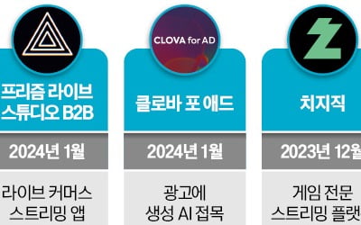 사설 카지노 AI '벌떼 전략'…해외 빅테크 빈틈 공략