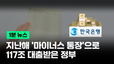 지난해 '마통'으로 117조 대출받은 정부…부작용은 없을까? [이지비즤]