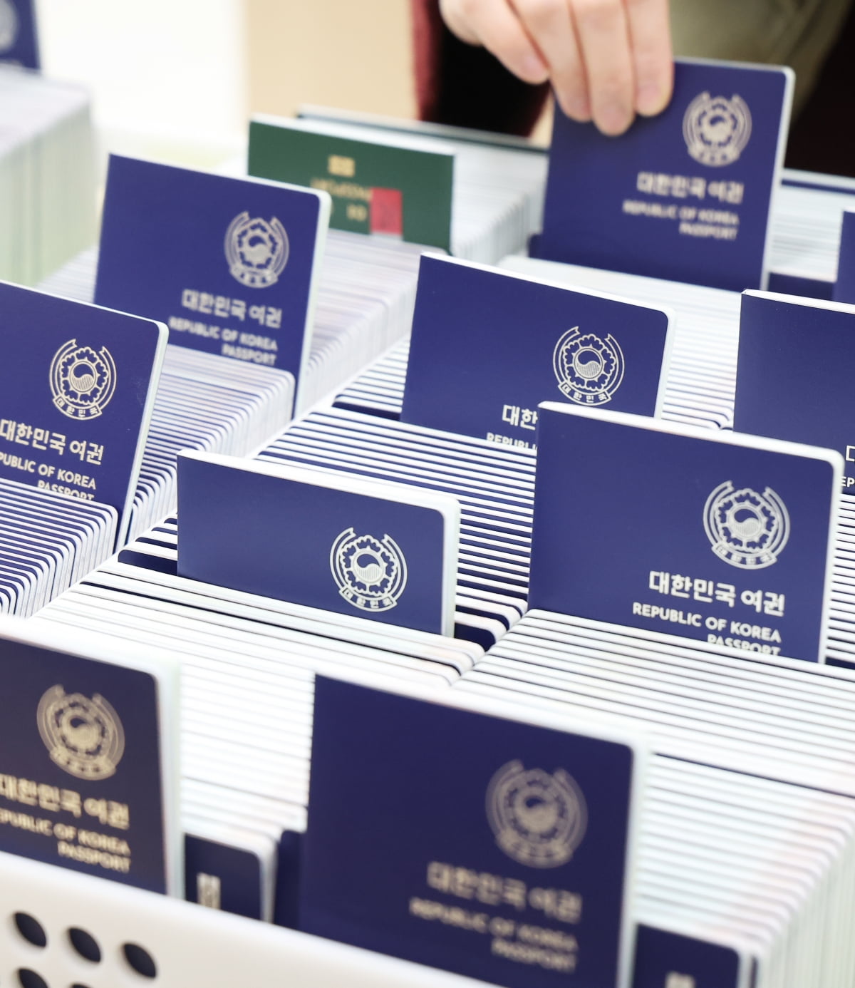 “한국인은 그냥 통과”...한국 여권 파워 이정도였어?
