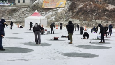 “비싸면 사먹지 마세요”...지역 축제 ‘바가지 요금’ 갑론을박