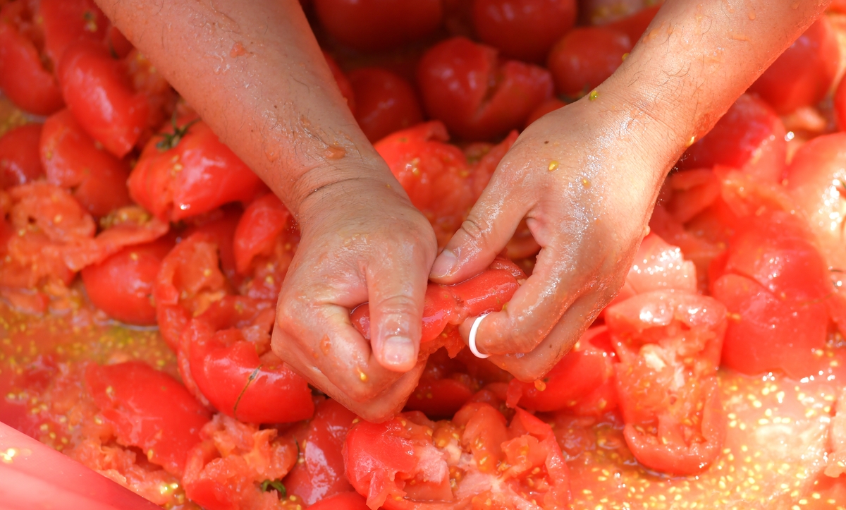 [#핫플콕콕] 여름은 토마토, 겨울엔 산천어…강원 축제 일번지 화천