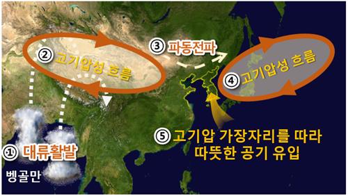 '겨울 개화' 이어 '북극한파'…지난달 기온 변동폭 역대 최대